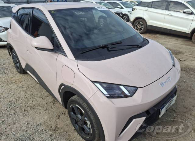 DOLPHIN MINI EV GS 55 kW 2025