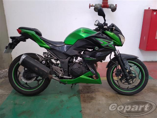 KAWASAKI Z300 2016