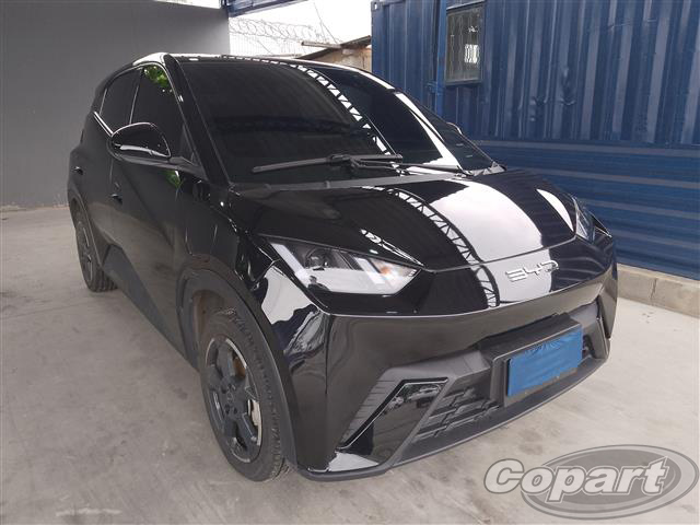 DOLPHIN MINI 38 KW 2024