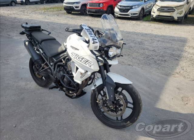 TIGER 800 XR 2019 