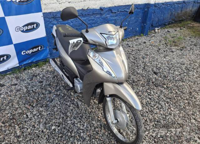BIZ 110I 2024
