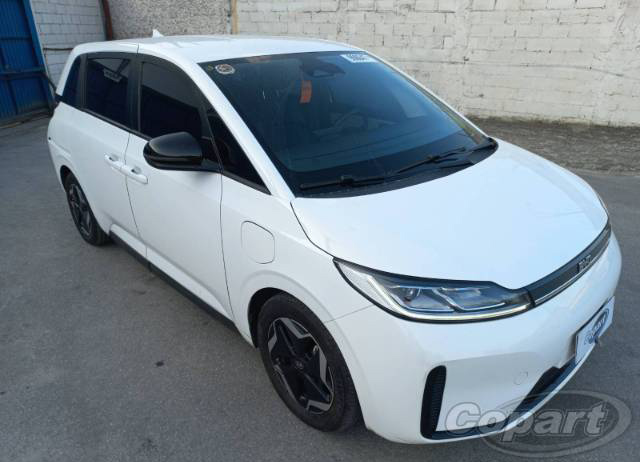 D1 EV GS 100 KW 2023