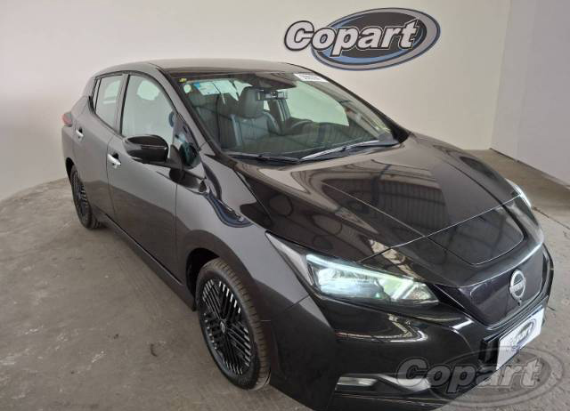 LEAF TEKNA 110 KW 2023 