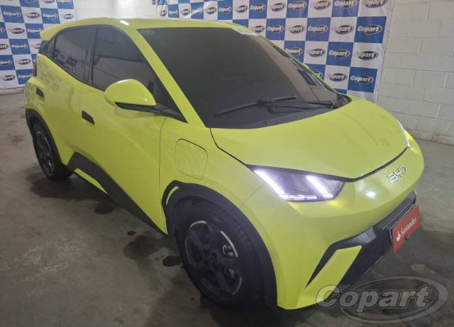 DOLPHIN MINI EV GS 55 KW 2025