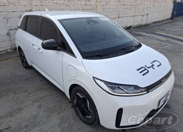 D1 EV GS 100 kW 2023